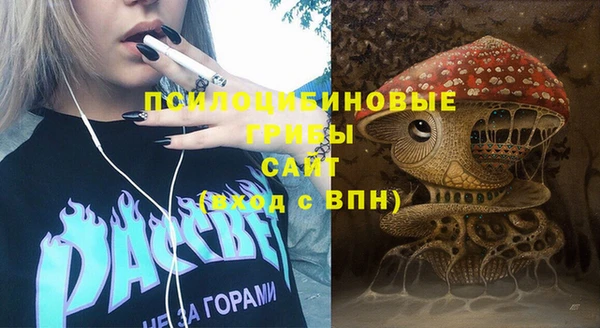 не бодяженный Алексин