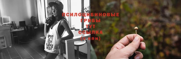 сатива Алзамай