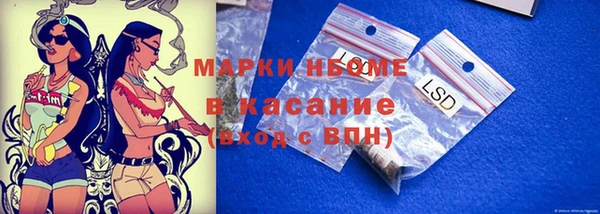 сатива Алзамай