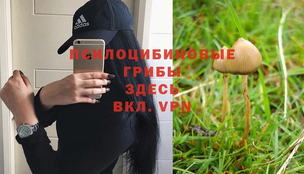 герыч Дмитровск