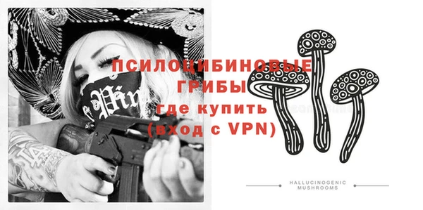 не бодяженный Алексин