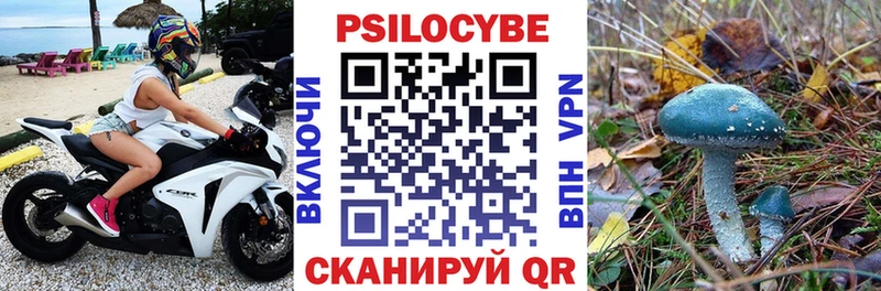 где можно купить   МЕГА ТОР  Псилоцибиновые грибы прущие грибы  Ивдель 